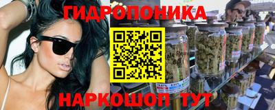 СК Лесосибирск