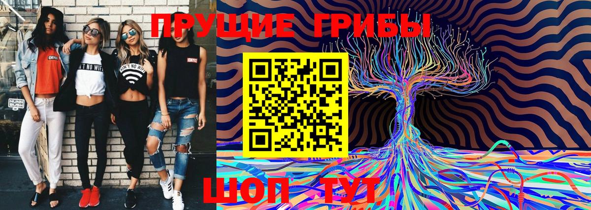 Каменск-Шахтинский  Галлюциногенные грибы Magic Shrooms  Вход с VPN  Галлюциногенные грибы MAGIC MUSHROOMS 